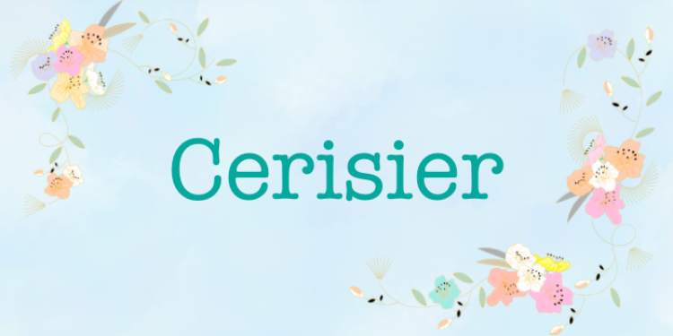 Cerisier